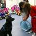 Il cane Frida alle prese con una bambina e il tubo